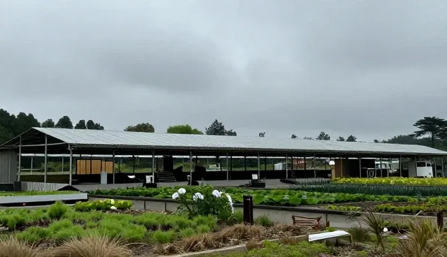物联网解决方案在复杂场景中的性能表现与适用条件分析
